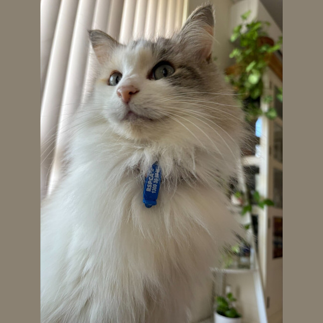 Photo of Mila