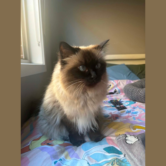 Photo of Bella