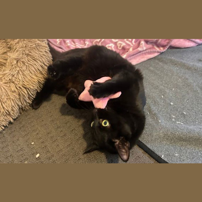Photo of Agnes