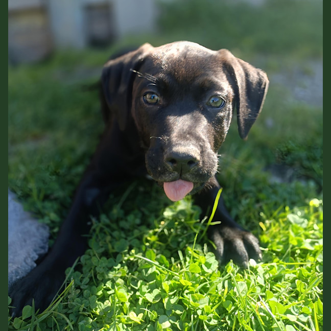 Photo of Terry