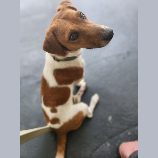 Photo of Jack Daniels