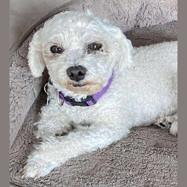 Photo of Tess
