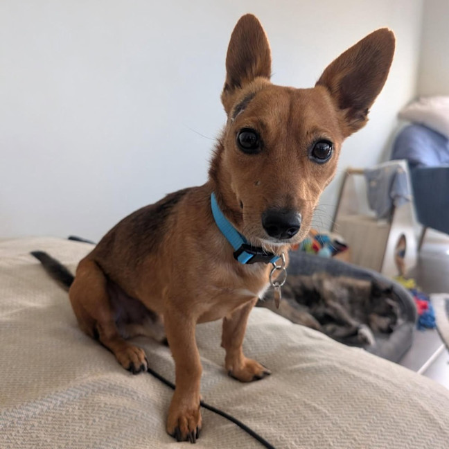 Photo of Rylo
