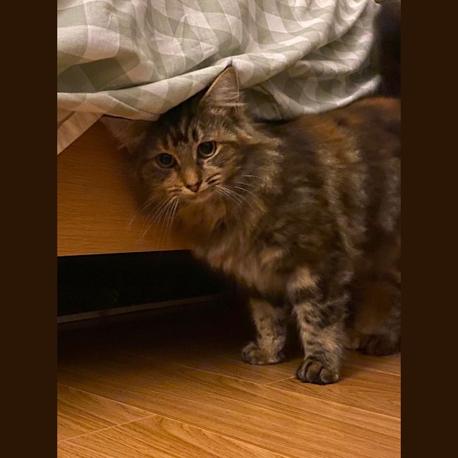 Photo of Astra 