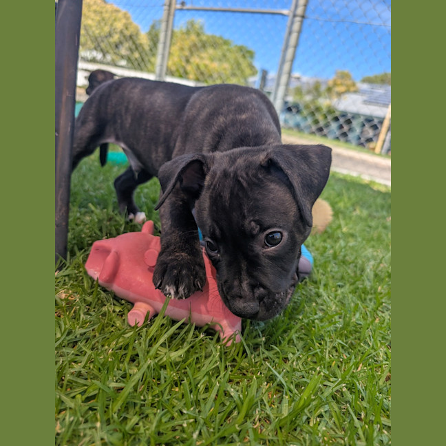Photo of Zeus