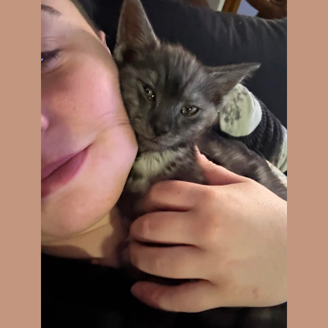 Photo of Jinu **2nd Chance Cat Rescue**