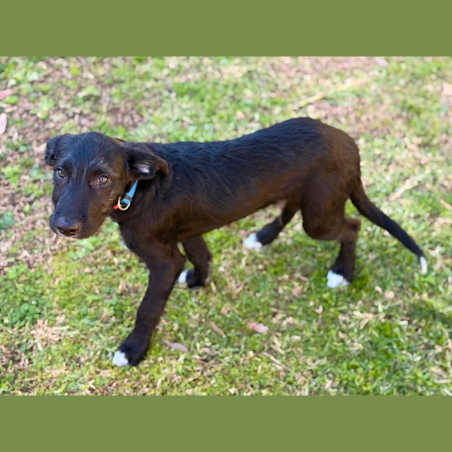 Photo of Wilbur