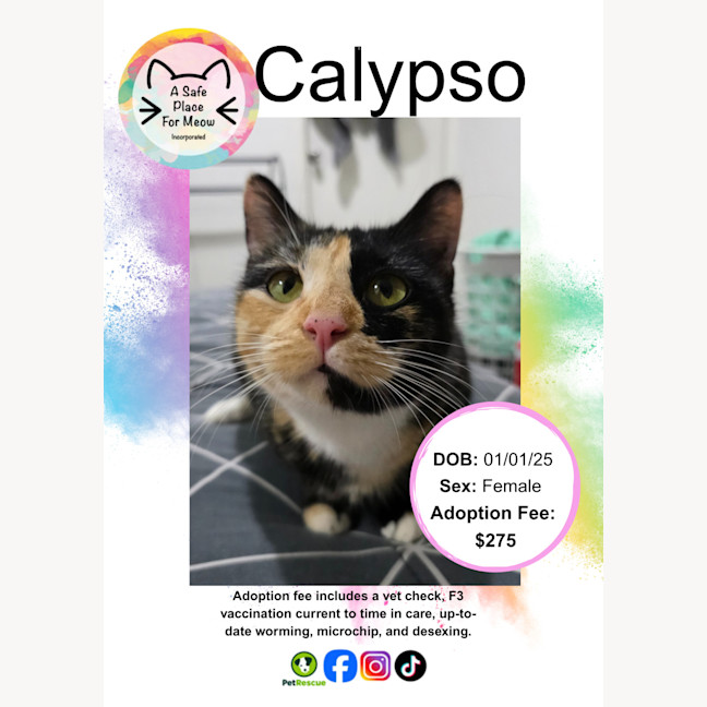 Photo of Calypso