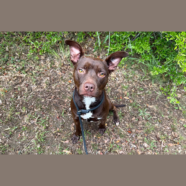 Photo of Freya