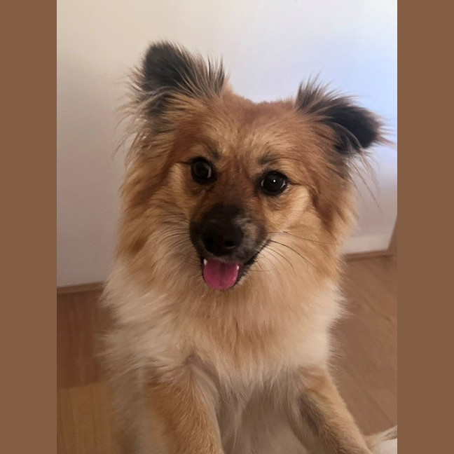 Photo of Blossom