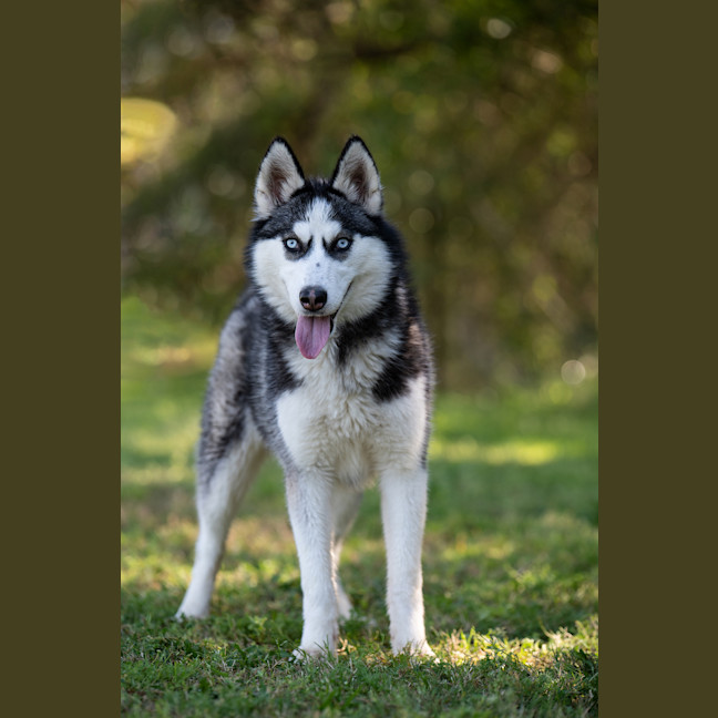 Photo of Elsa
