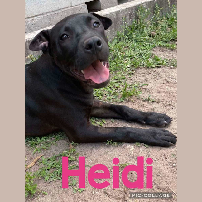 Photo of Heidi