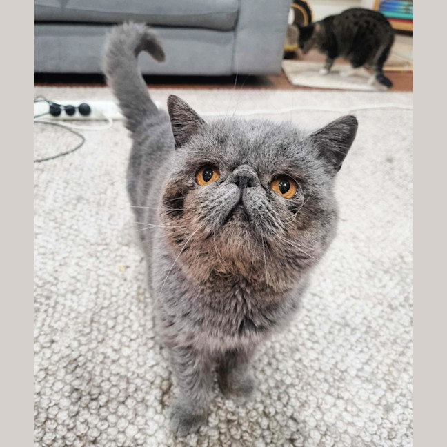 Photo of 🧣Kishmish🧣