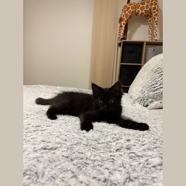 Photo of Minnie & Mickey