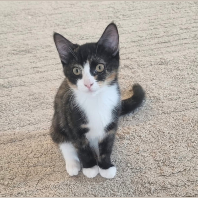 Photo of Matilda 🌺🌈