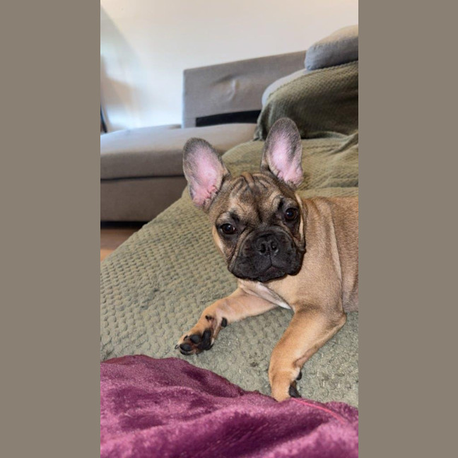 Photo of Luna Everhart