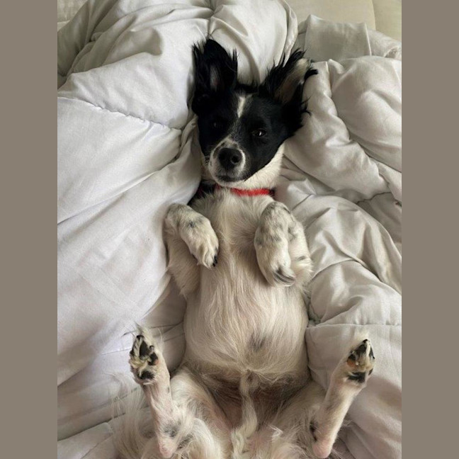 Photo of Sam Jablonski