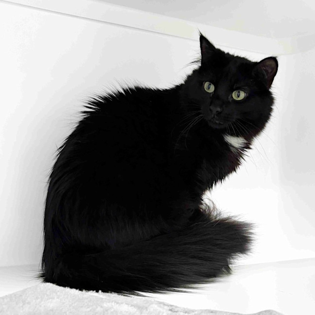 Photo of Beau Rstk012603