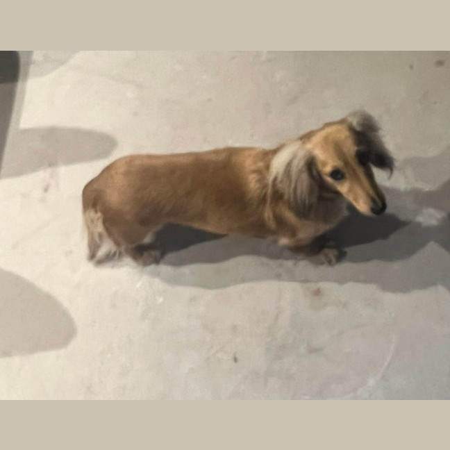 Photo of Serendipity