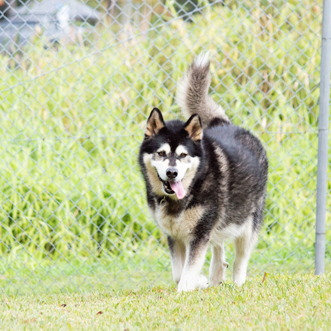 Photo of Cardie