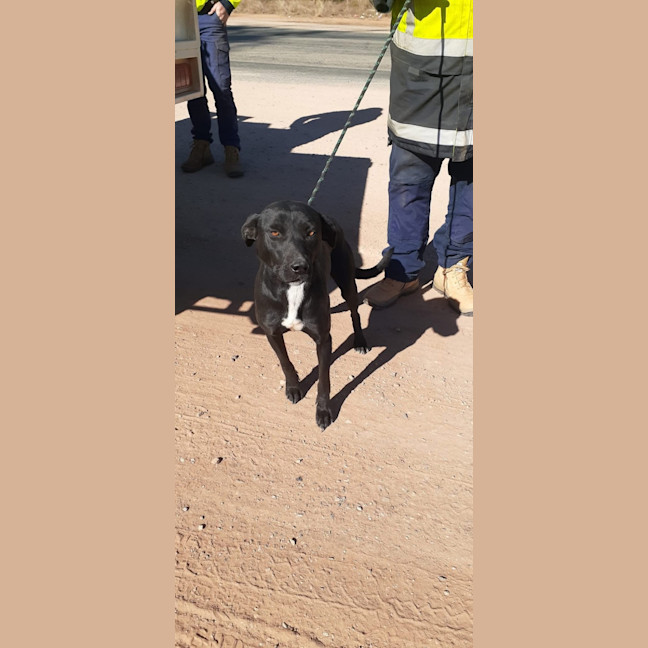 Photo of Good Golly Miss Molly