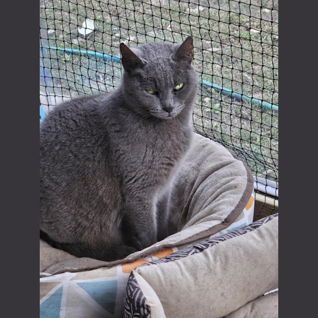 Photo of Jesse