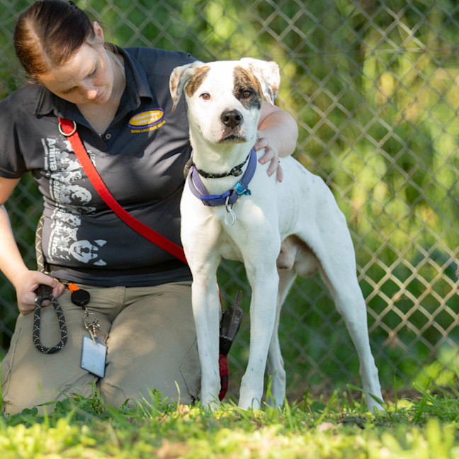 Photo of Patch