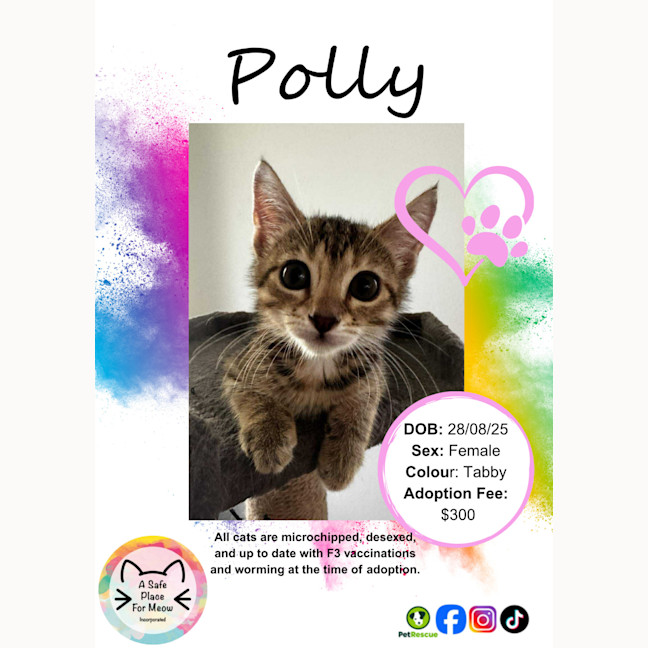 Photo of Polly