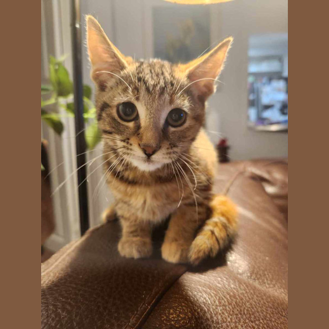 Photo of Susan