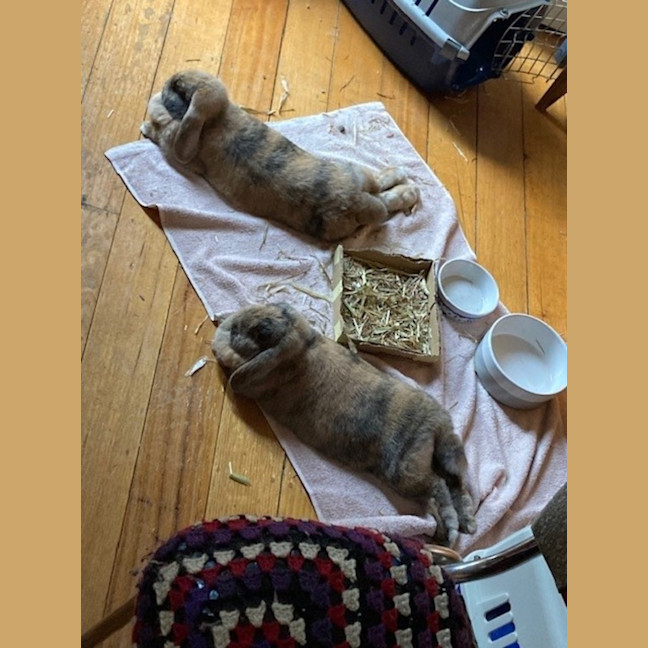 Photo of Patty & Selma