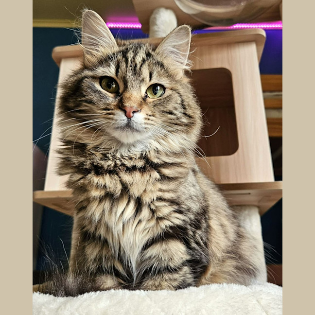 Photo of Nami