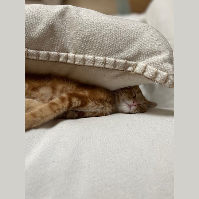 Photo of Harry