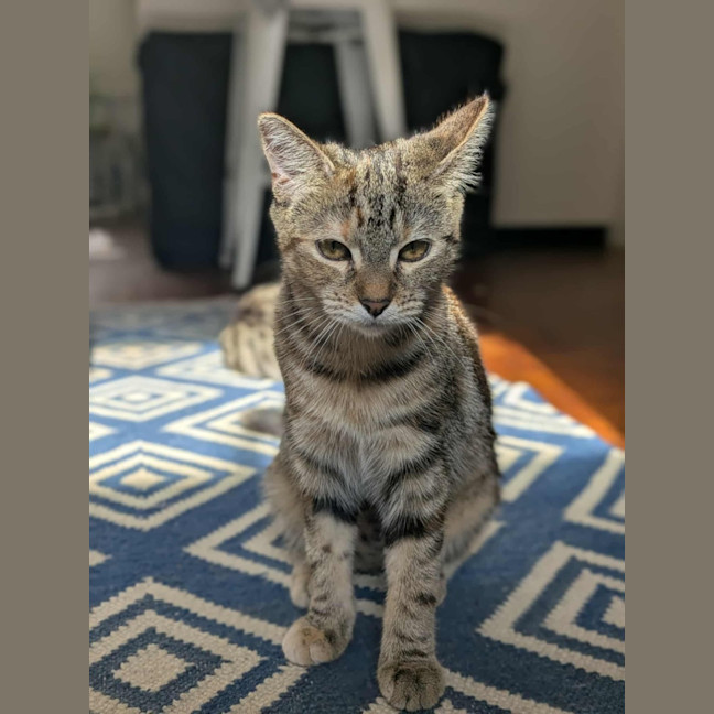 Photo of Milah