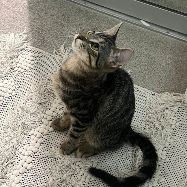 Photo of Reggie