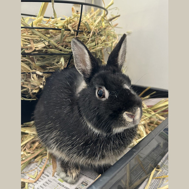 Photo of Little Timmy