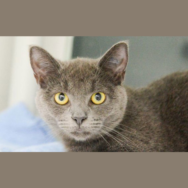 Photo of Lilith