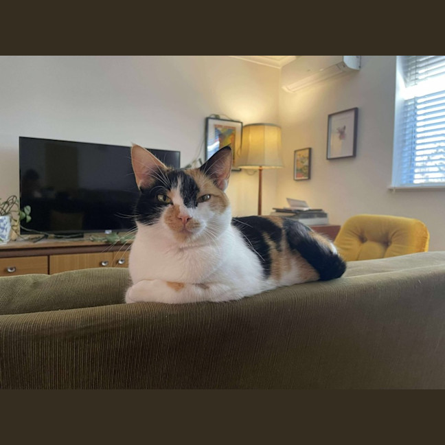 Photo of Maia   Located In Preston