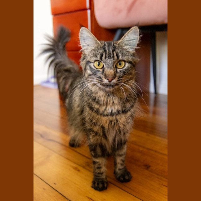 Photo of Arya