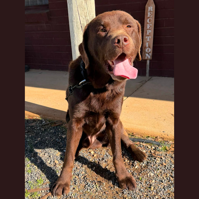 Photo of Duke