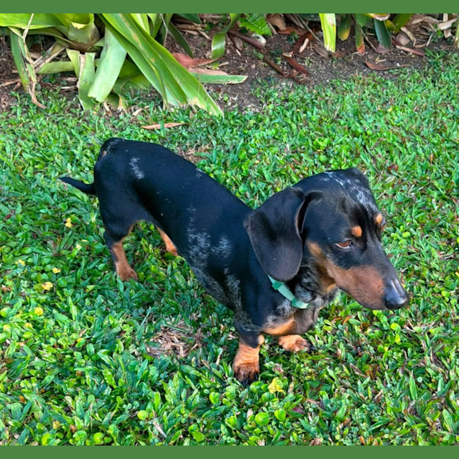Photo of Hugo