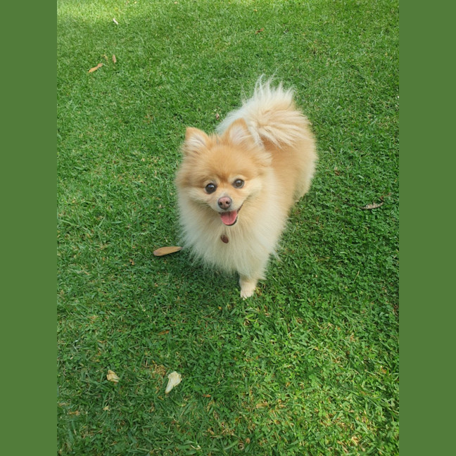 Photo of Grace