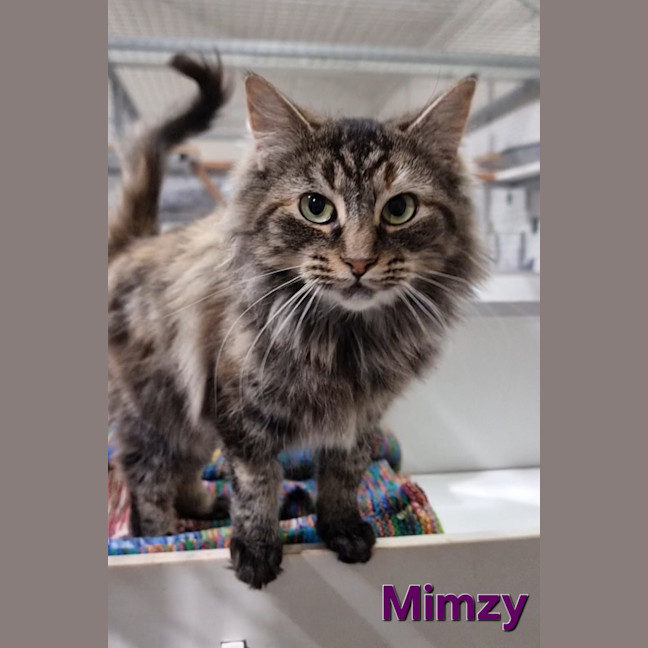 Photo of Mimzy