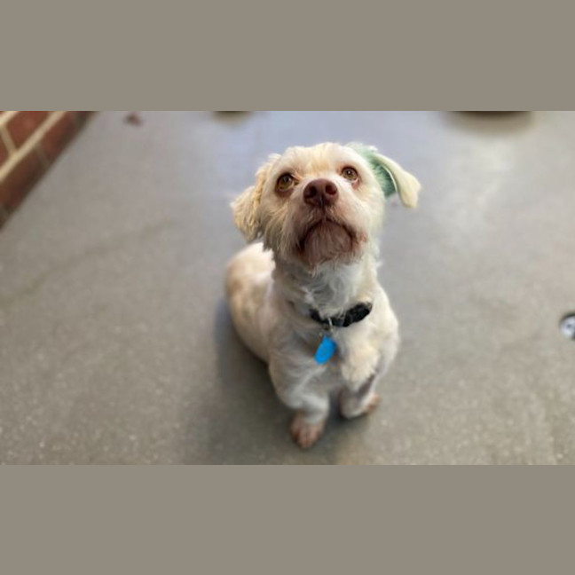 Photo of Chugga