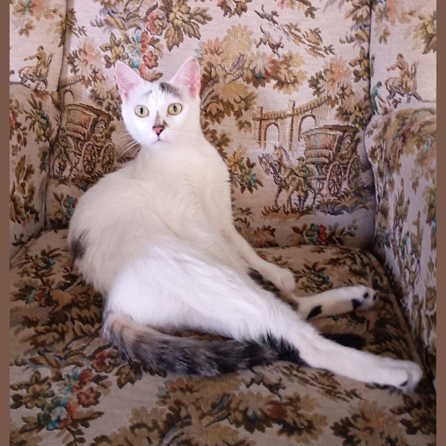 Photo of Miss Minty