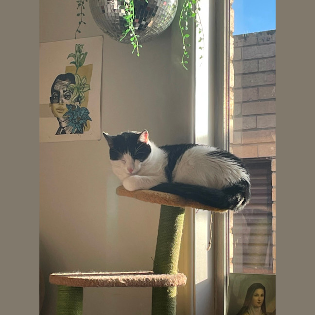 Photo of Tom