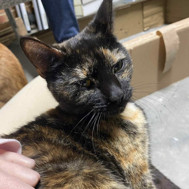 Photo of Kallie 🍃💕