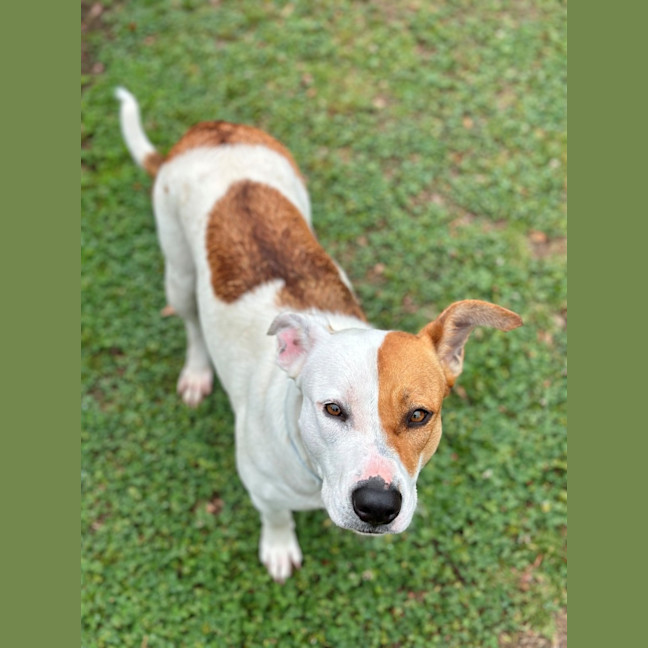 Photo of Lulu