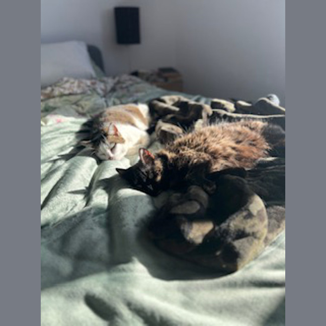 Photo of Princess
