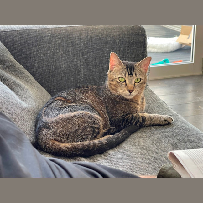 Photo of Bindy