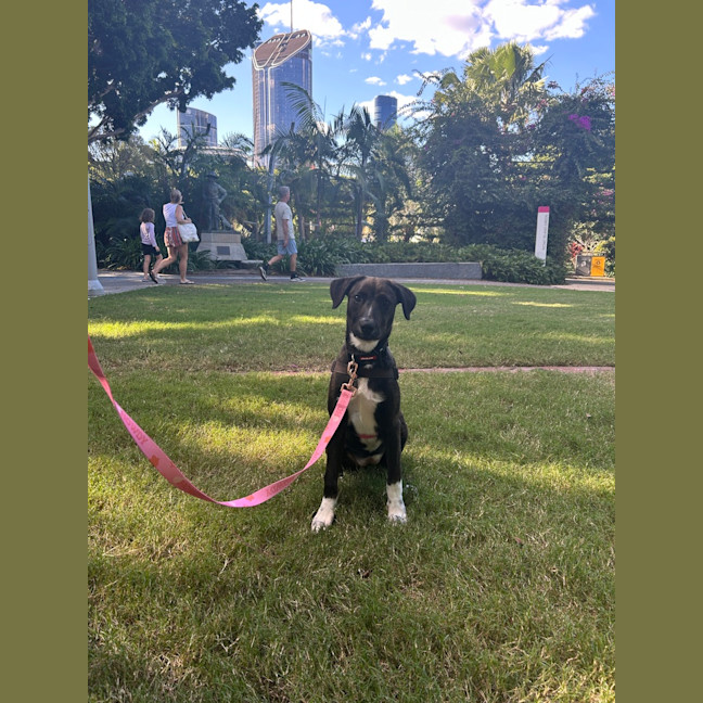 Photo of Bella